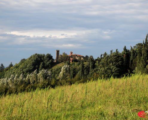 Abbazia di Santa Maria Assunta