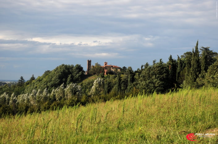 Le Bellezze dell’Abbazia in Valsamoggia Abbazia di Santa Maria Assunta