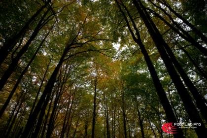 Parco regionale del Corno alle Scale