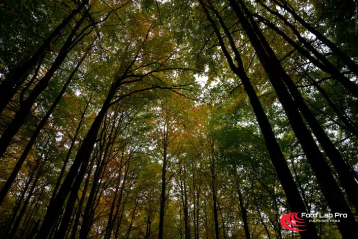 Parco Regionale Corno alle Scale – Emilia Romagna Parco regionale del Corno alle Scale