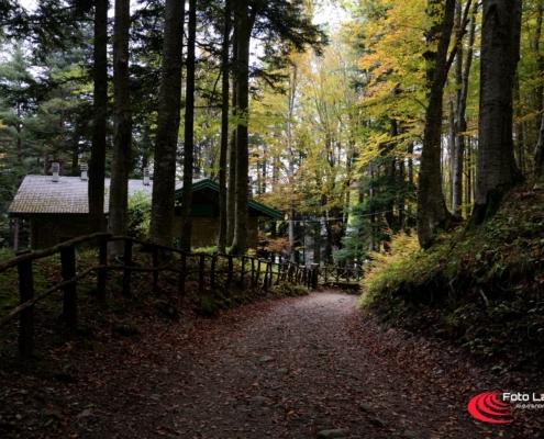 Santuario di Madonna dell’Acero - Emilia Romagna