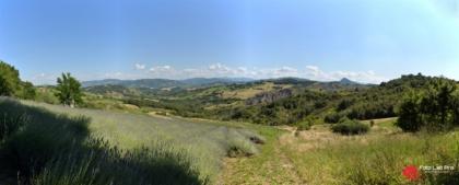 Le Erbe dei Calanchi