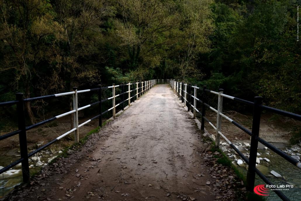 Ruderi di Castiglioncello