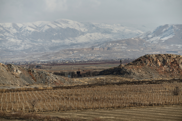 Vigneti della valle di Khor Virap