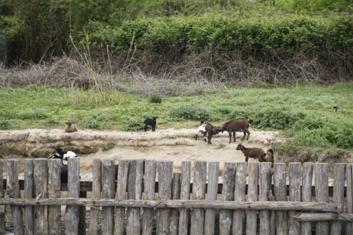 Fattorie sul Tevere Fattorie sul Tevere